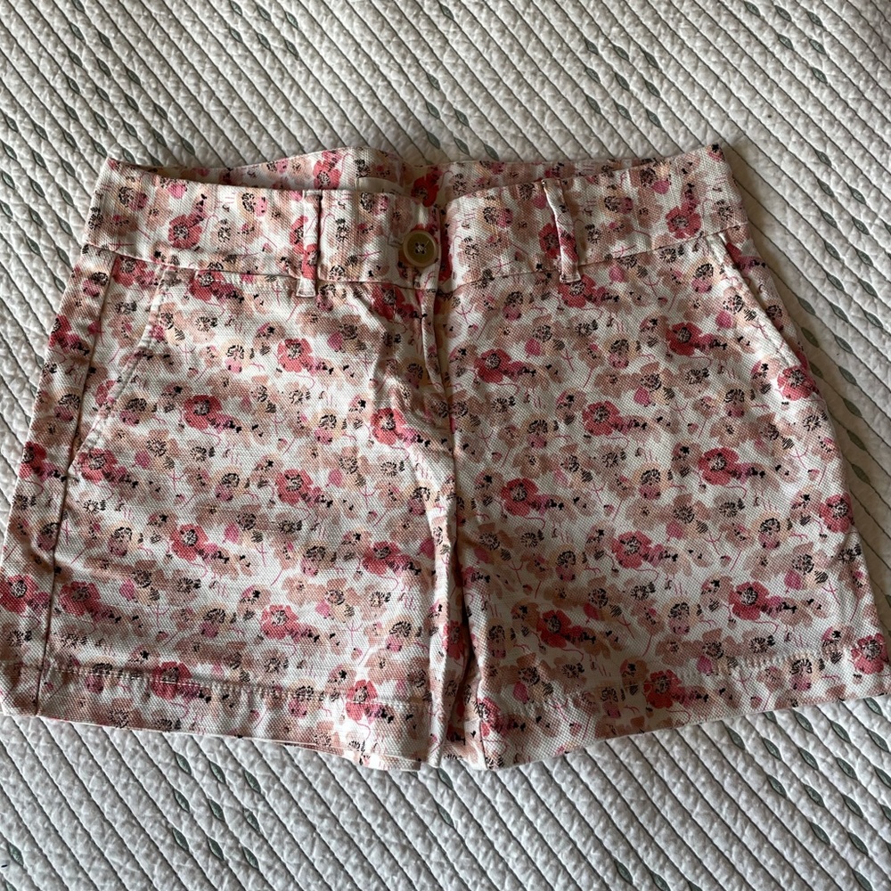 Loft shorts